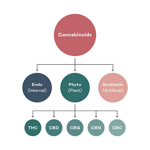 What are Cannabinoids?