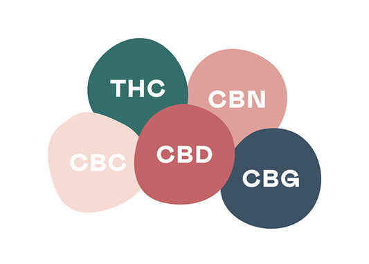 The Difference Between Full Spectrum, Broad (or Wide) Spectrum & CBD Isolate